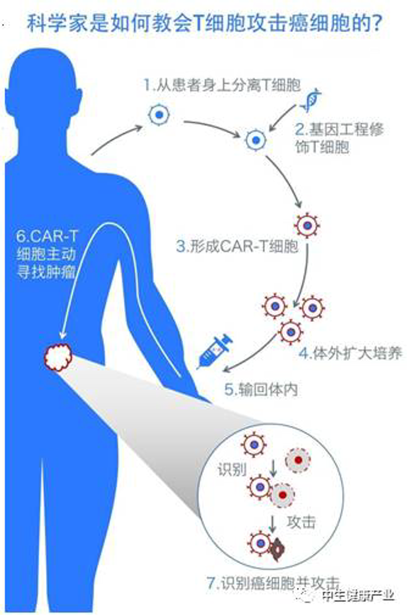 免疫细胞技术