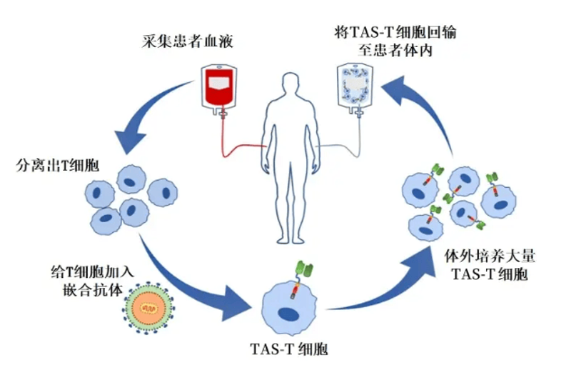 深入了解生物医疗：改变生活的科技